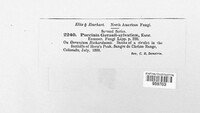 Puccinia geranii-silvatici image
